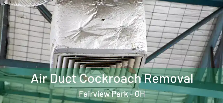 Air Duct Cockroach Removal Fairview Park - OH