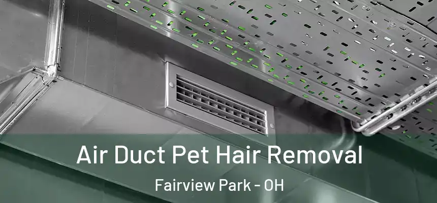  Air Duct Pet Hair Removal Fairview Park - OH