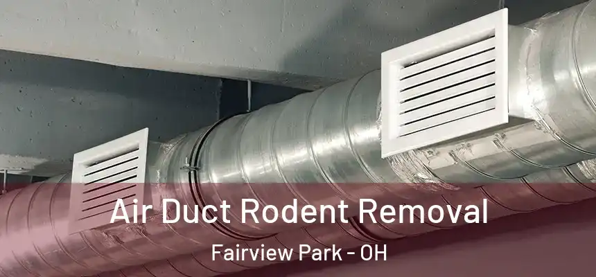 Air Duct Rodent Removal Fairview Park - OH