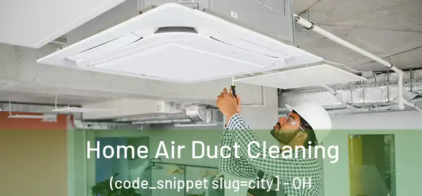  Home Air Duct Cleaning (code_snippet slug=city] - OH