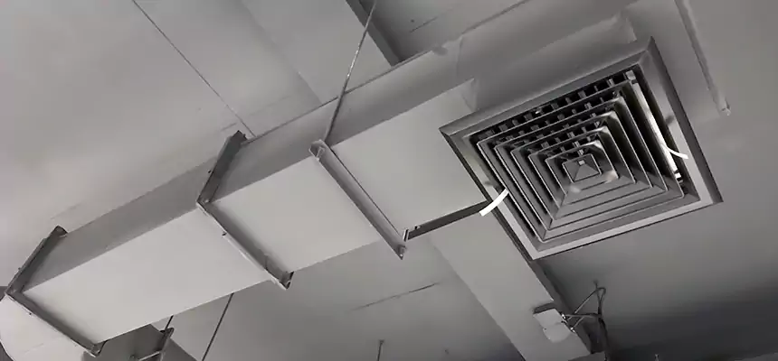 Our Pest Removal From Ducts Services in Fairview Park, OH