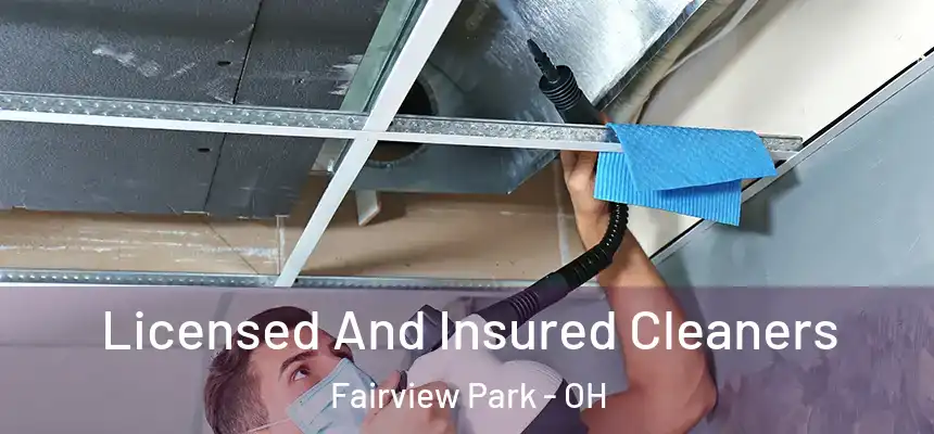 Licensed And Insured Cleaners Fairview Park - OH
