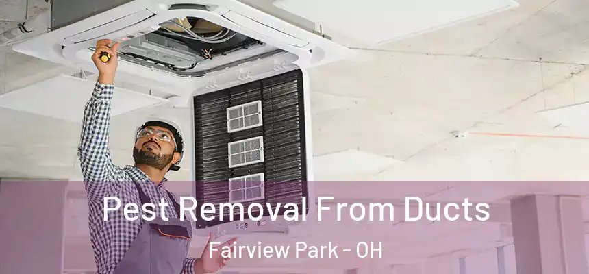 Pest Removal From Ducts Fairview Park - OH