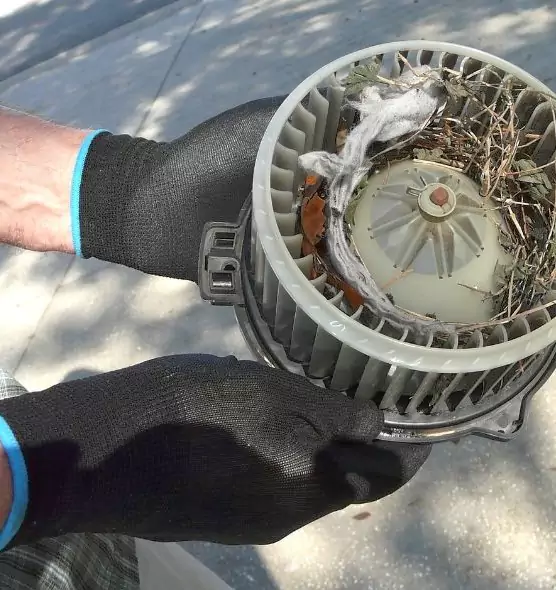 About Air Duct Mice Removal in Fairview Park, OH