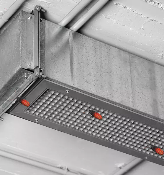 Affordable Insect Removal from Air Ducts in Fairview Park, OH