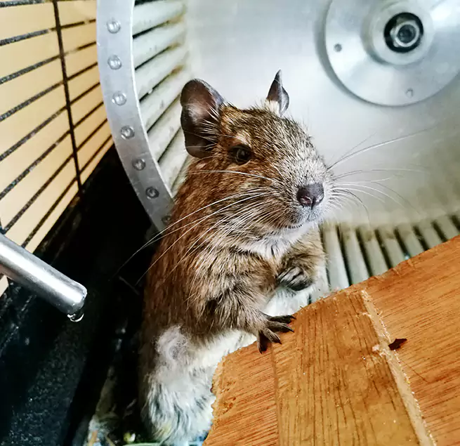 Why Homeowners & Businesses Trust Us Fairview Park, OH